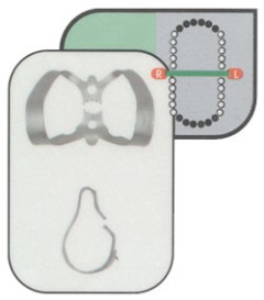 UNCINI H.F. 9S   SATIN ST   LABIALI