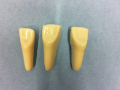 DENTI COLUMBIA RICAMBIO N. 11