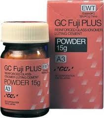 FUJI PLUS EWT GC RIC.POLV.15GR.A3