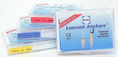 PERNI DENTATUS LUSCENT SMALL X15