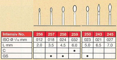 INTENSIV 256     FG (2)   X 3 FRESE