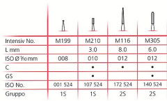 INTENSIV M210    FG (1S)  X 3 FRESE