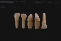 DENTI VIVAD.RICAMBIO PREP.MODEL 22 CONF.X5 599849