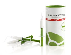 CALASEPT PLUS DIRECTA IDROSS.CALCIO SIRINGA 4X1,5ML.