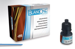 BLANCONE SEAL KIT