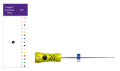 FILES-K FKG 31MM.10   STERILE X6