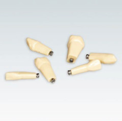 MODELLO FRASACO RIC.DENTI N.12  KIT 10 PZ