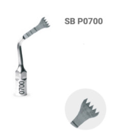 SURGYBONE SILFRADENT INSERTO 700