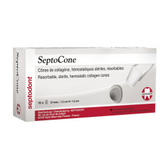 SEPTOCONE SEPTODONT CONI STERILI X10