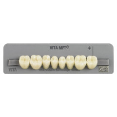 MFT DENTI X 8 COL A1 PL29 VITA