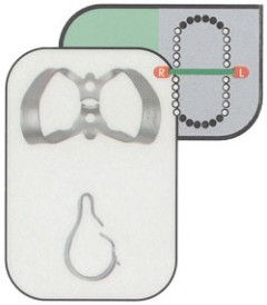 UNCINI H.F. 9   SATIN ST    LABIALI